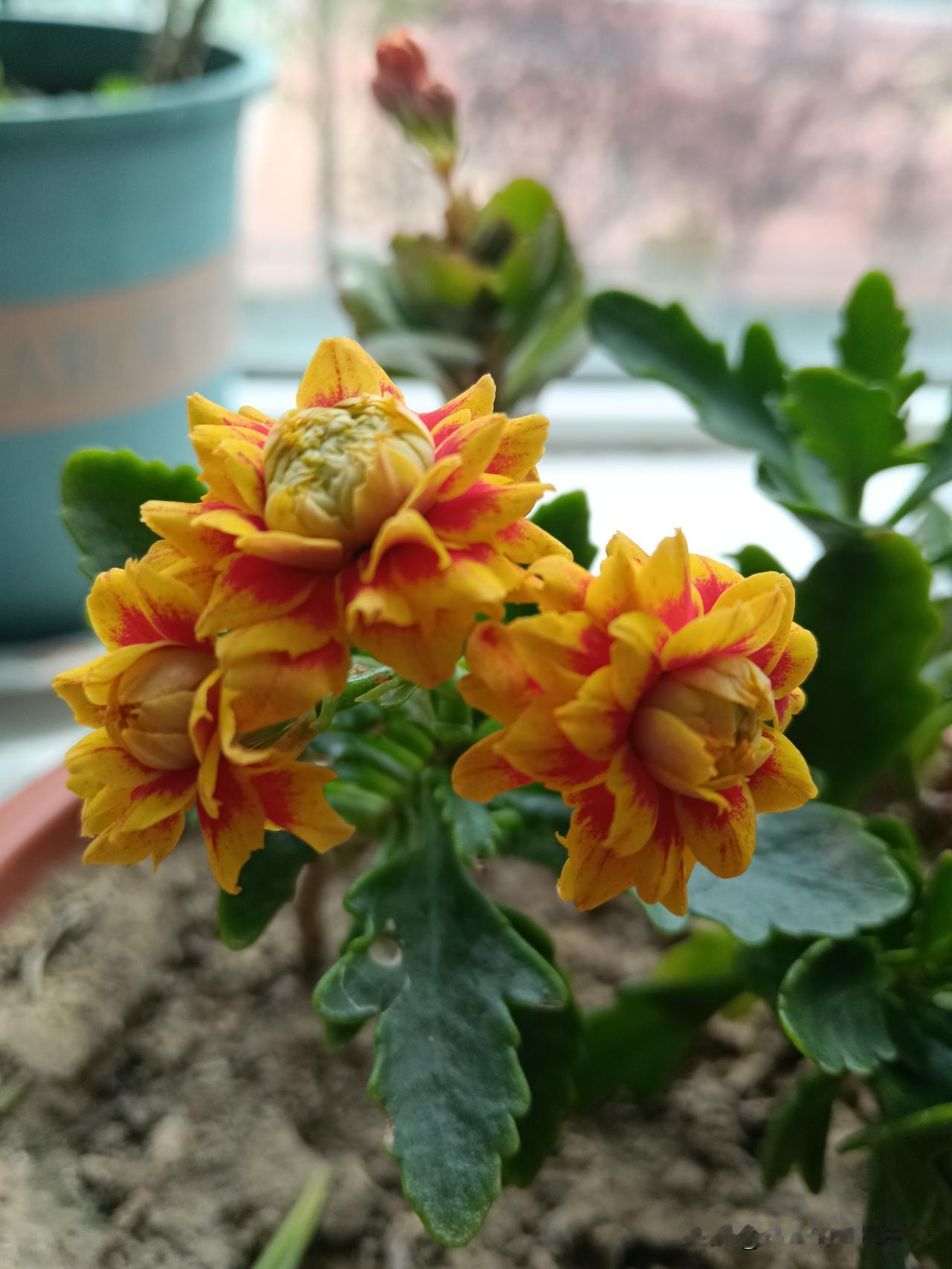 爷爷说，一辈子要记牢的处世规矩。​1、邻里之间，只打招呼，不深交。住得太近，