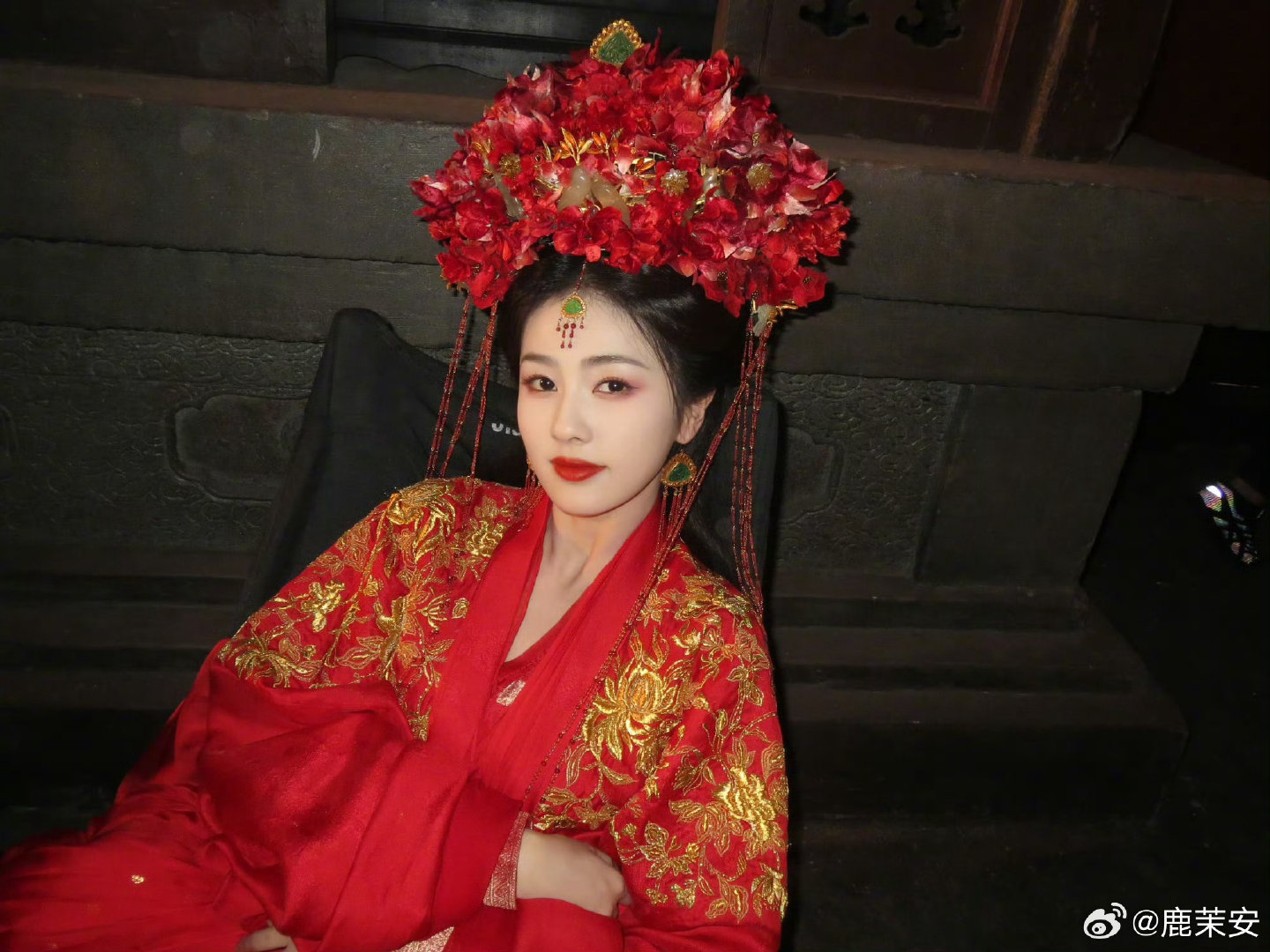 #白鹿##白梦妍##白鹿北上#好萌呀白圆圆​