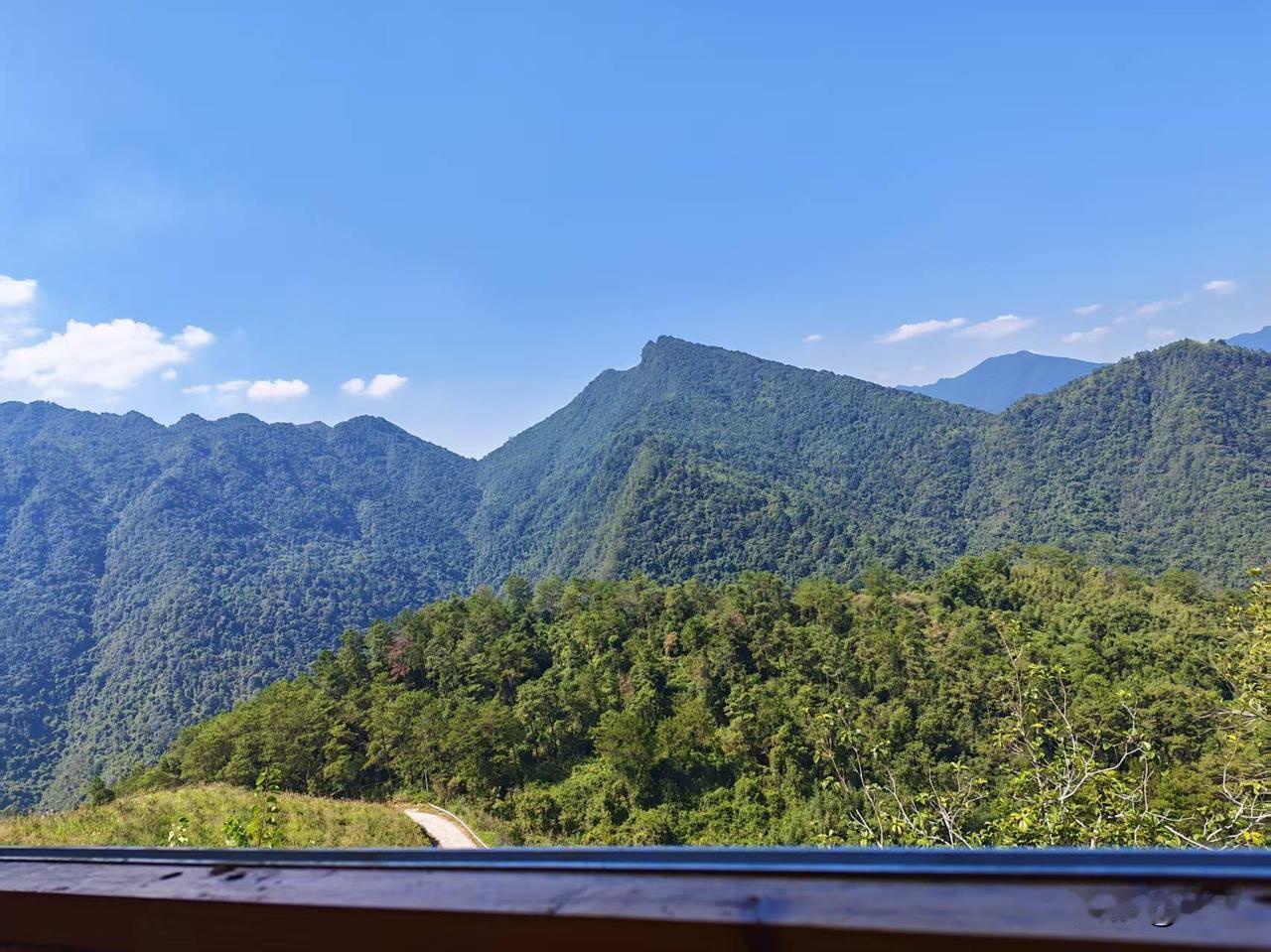 这山真高，风景真美！沿着漫山铺展的金红枫叶石阶往上走，山风裹着桂香往衣领里钻，抬