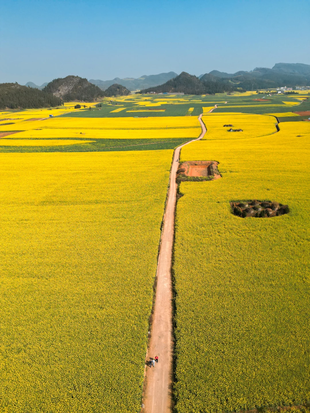 《国家地理》没骗我，国内最早的春天🌸在这里
