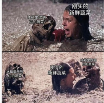 冰箱里放到烂的蔬菜