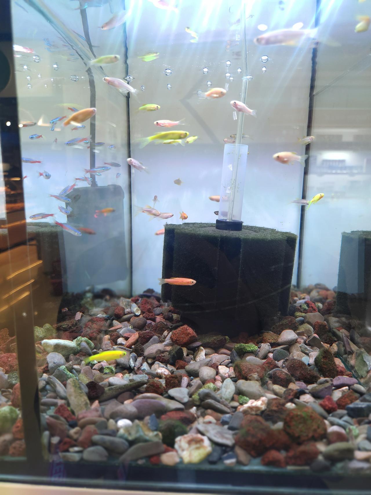 未经他人苦，莫劝他人善你看不见他深夜里的崩溃，听不懂哽咽中的委屈，又怎知他