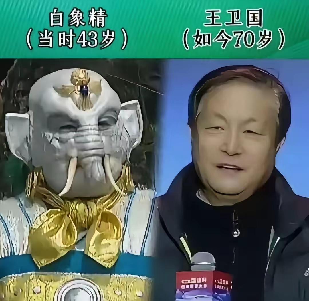 王卫国的白象精太经典了铁牛的弥勒佛太经典了朱琳的女儿国国王太经典了西游记里