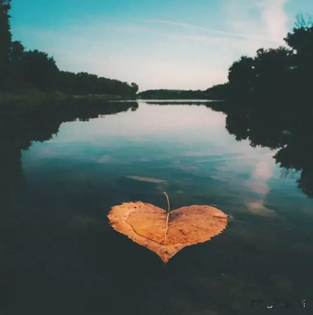 醍醐灌顶的一句话：“所有的文化都是为了让你变得愚蠢和贫穷。真正有价值的能赚