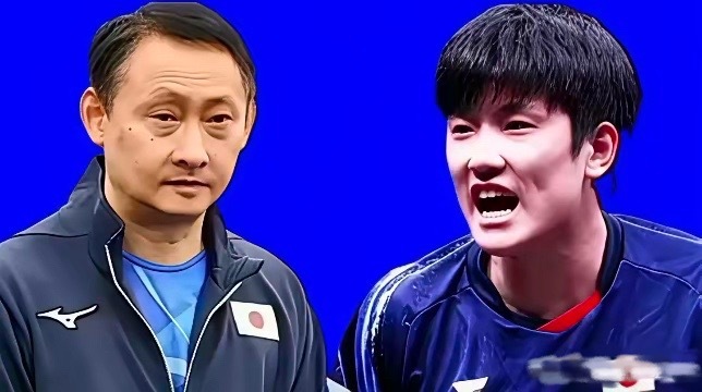 张本智和冲父亲大发雷霆比赛中张本智和正准备发球父亲张本宇在场边嘶吼指导战术，张本
