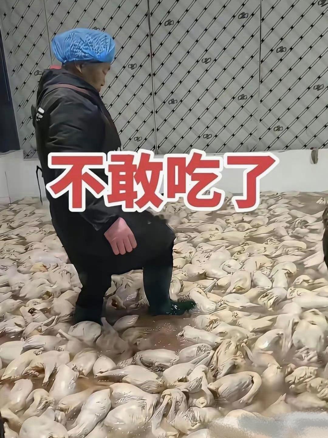 惊呆了，给孩子看看还敢吃吗？