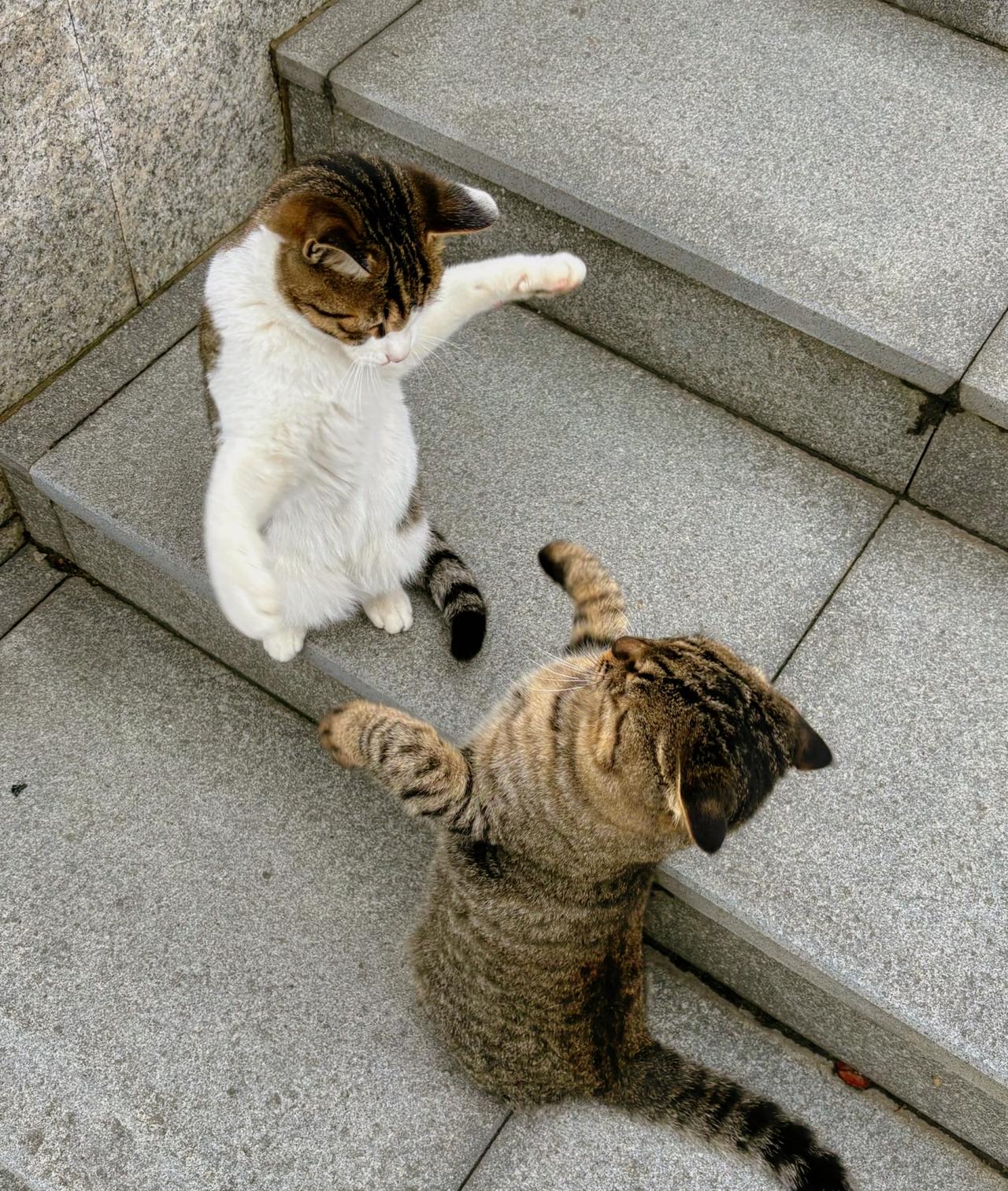 一段通透的时候男人好色，女人慕强。就是三个字，钱，权,色。女人在领导面前，便宜