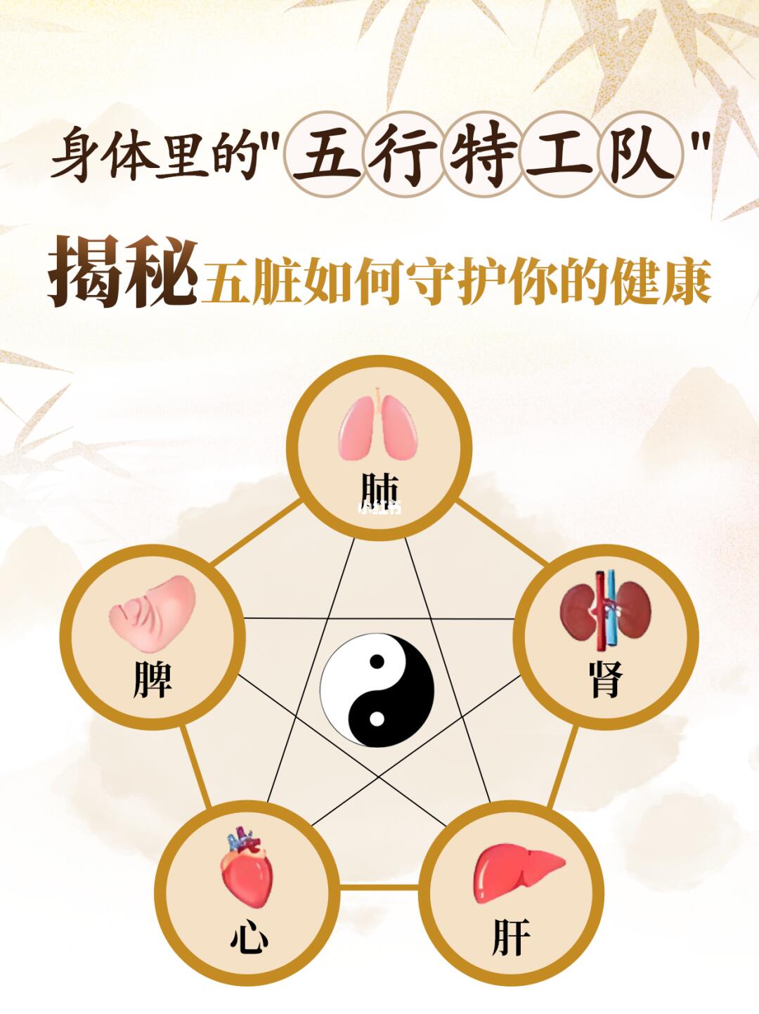 秒懂！原来五行是这样滋养五脏~