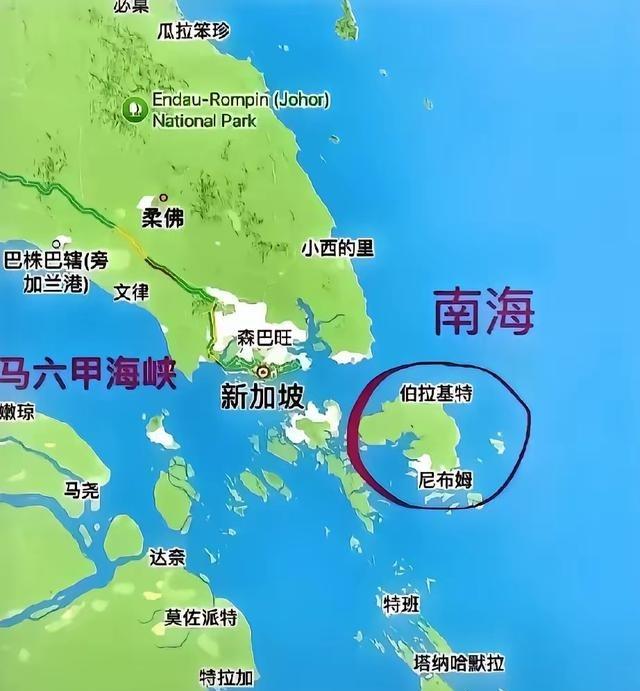 新加坡外长在越南召开的东盟国家会议上失态的发言，证明咱们做对了！在东盟国家的一