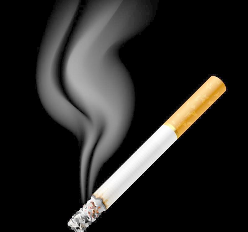 我前天才知道，现在的烟居然能自己烧完！一开始以为是我买的烟受潮了才抽着不对，特