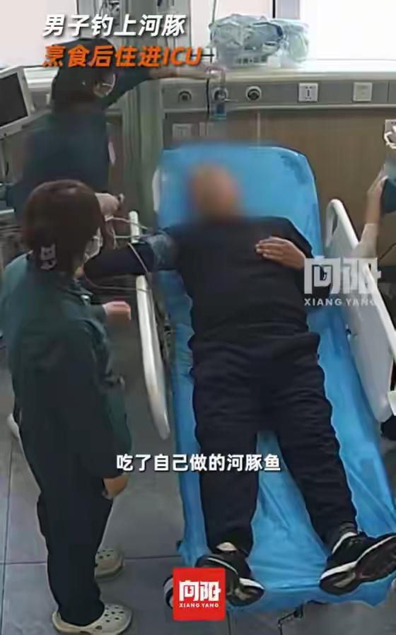 男子钓上河豚后回家烹食中毒进ICU，医生提醒近日，辽宁大连，一男子钓起河豚后