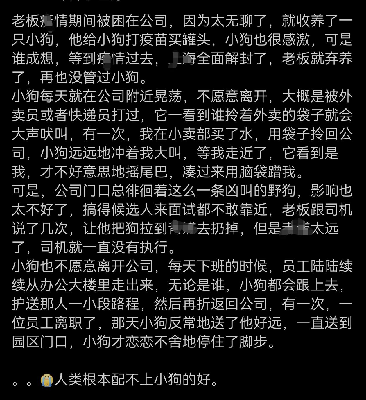 人类根本配不上小狗的好！