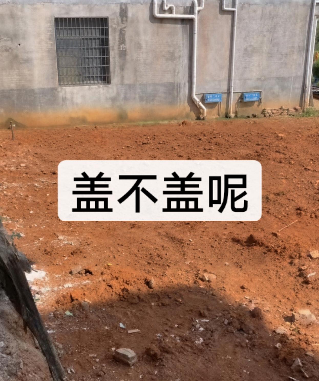 问大家一个问题：老家的房子，到底盖还是不盖啊？真的好纠结啊！盖吧，平时门锁一