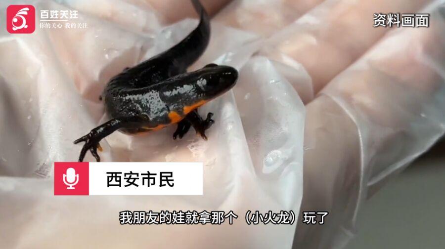 3月20日西安一市民反映，朋友孩子在校门口买“小火龙”玩耍后中毒呕吐。“小火龙”