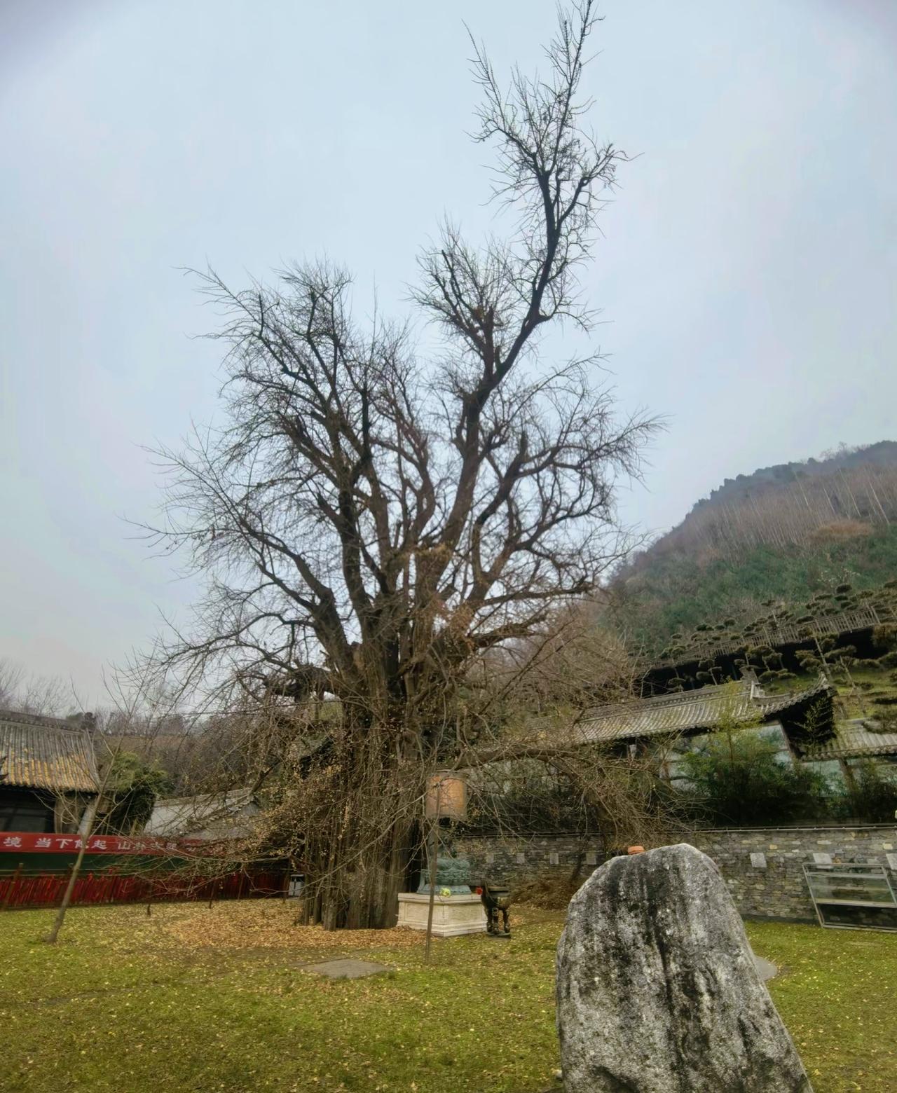 刘震云：）别人对你好不好，不取决于你的态度，而取决于你对他们的用处，只要你有用