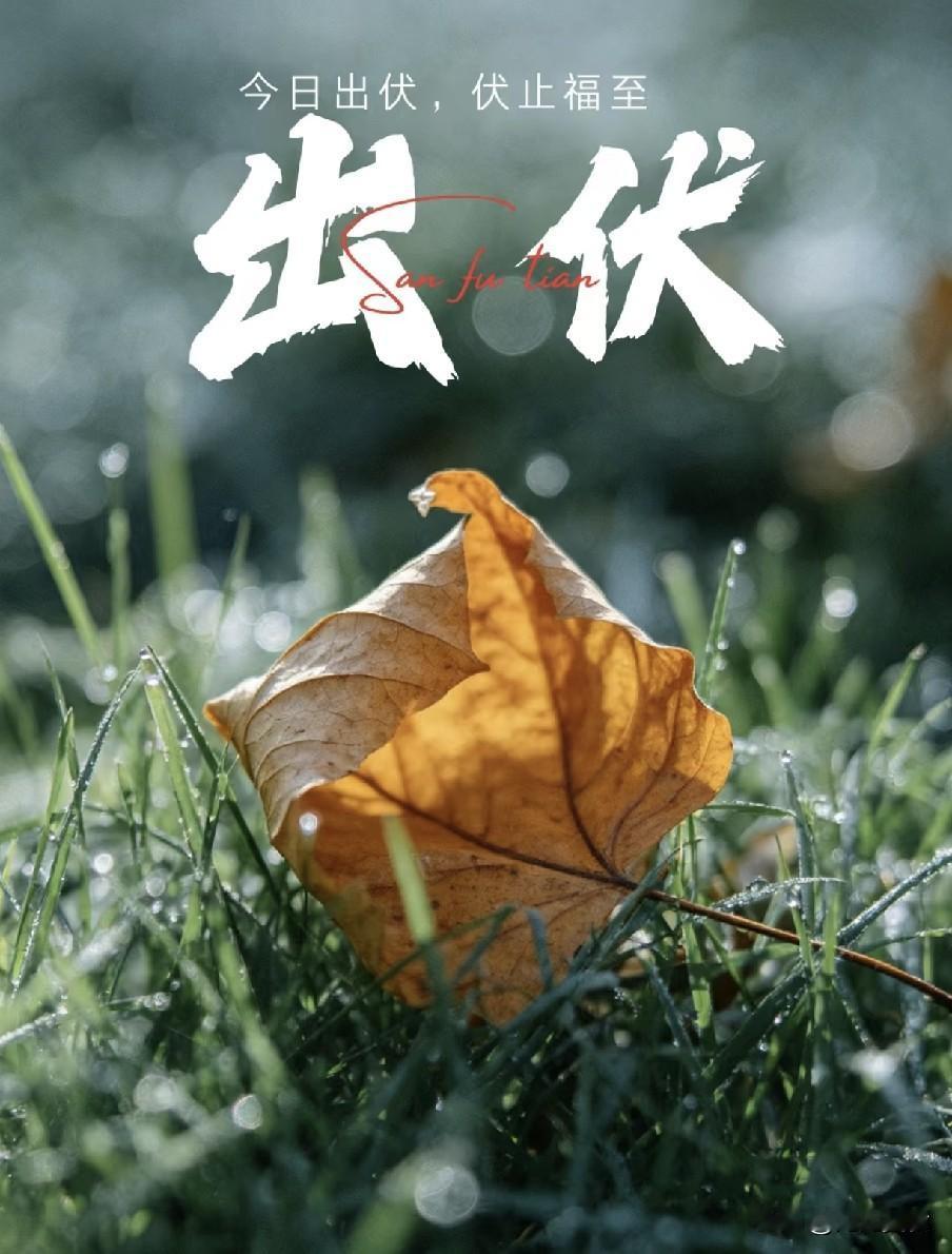 入伏吃饺子，8月23日出伏，老传统记得吃5样，安安稳稳过秋天老话常说“头伏