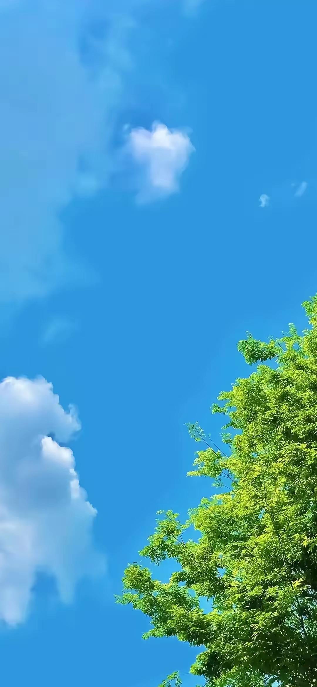 经济学家说：“赚钱的目的从来都不是消费，赚钱的目的是有钱，然后你就再也不要去