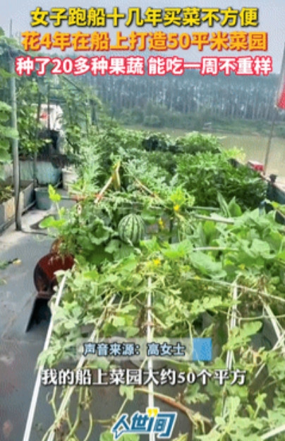 彻底解释不清了！女子跑船吃不到新鲜蔬菜，竟在船上打造一个50㎡菜园！如今不仅能一