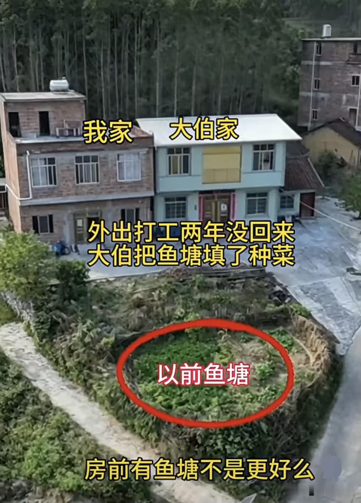 房前有鱼塘不是更好吗⁉️外出打工两年没回来，大伯把鱼塘填了种菜‼️这还要不