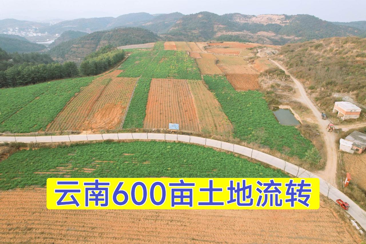 土地流转三农种植土地承包云南土地种植
