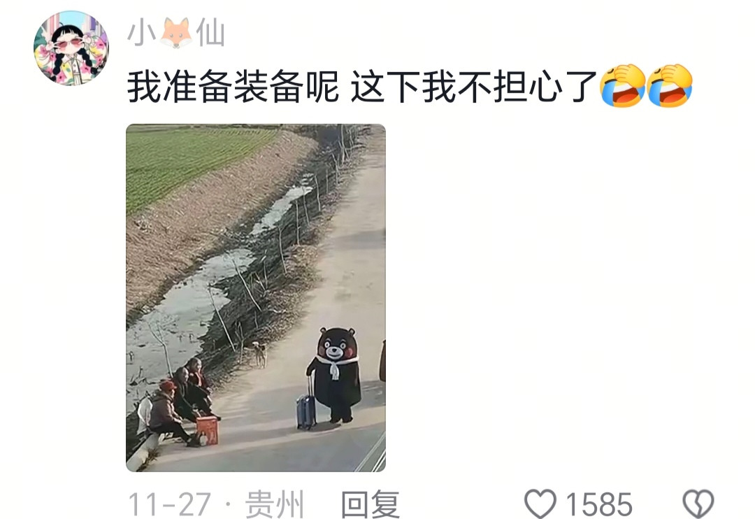 大娘:那头熊我都没眼看