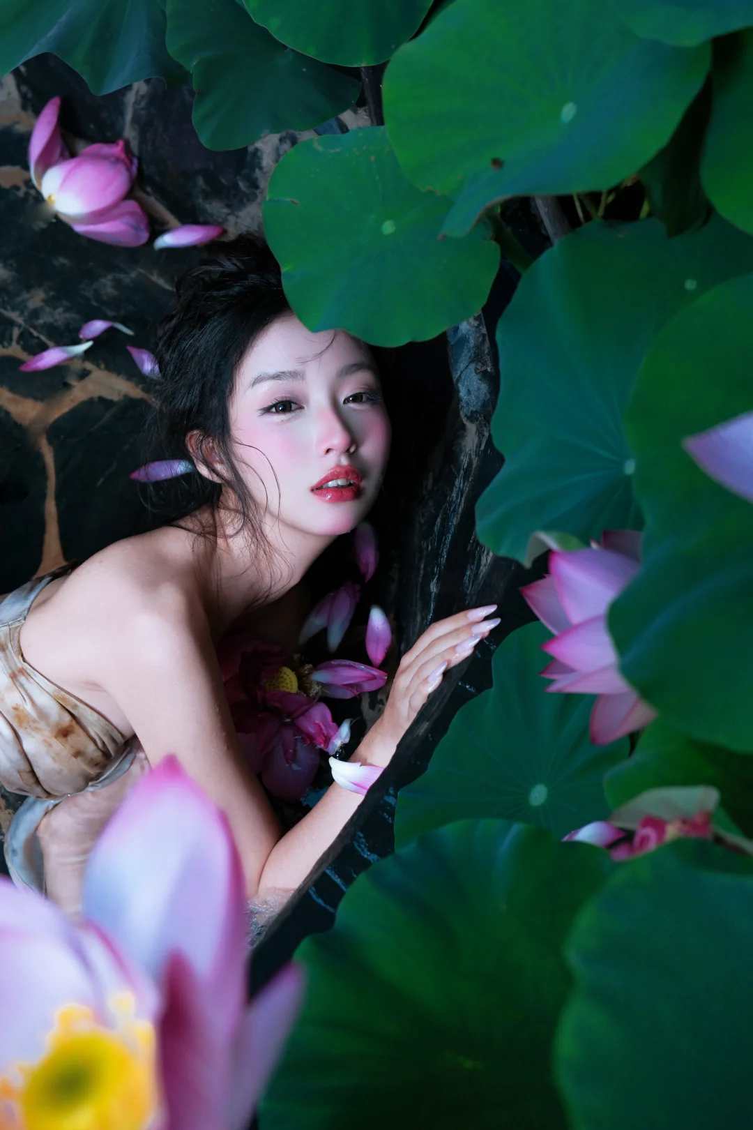 是漂亮大女人会喜欢的荷花写真吗🪷
