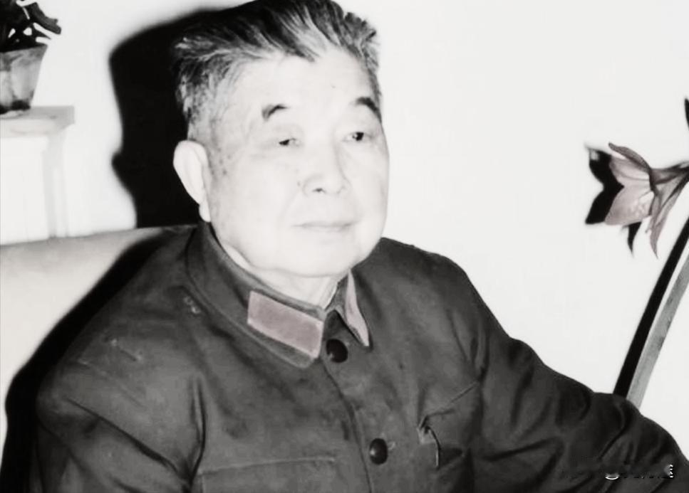 1953年，西康军区司令员刘忠得知家人还幸存人世，携妻子回乡见母亲，看到原配穿