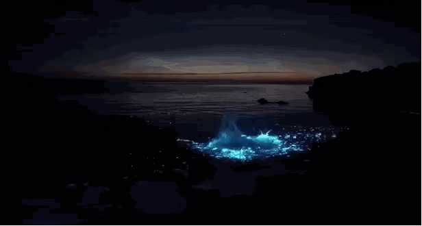 早安早安心语早安,新的一天早安心语超话治愈不开心人生感悟人生微语每天说早