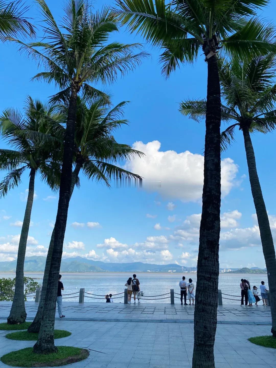 现在深圳房价整体处于什么水平？经过此轮深度调整，深圳房价已回落到5万多每平左右。