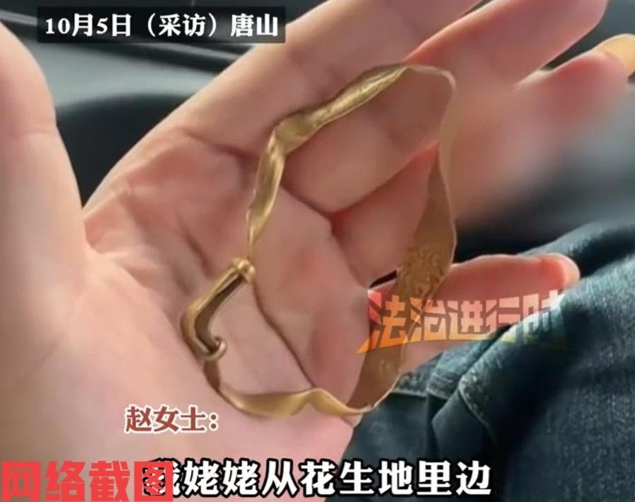 河北唐山有女子在田地里收花生。只当女子认真干活时突然眼前有东西一亮，她忙挑开