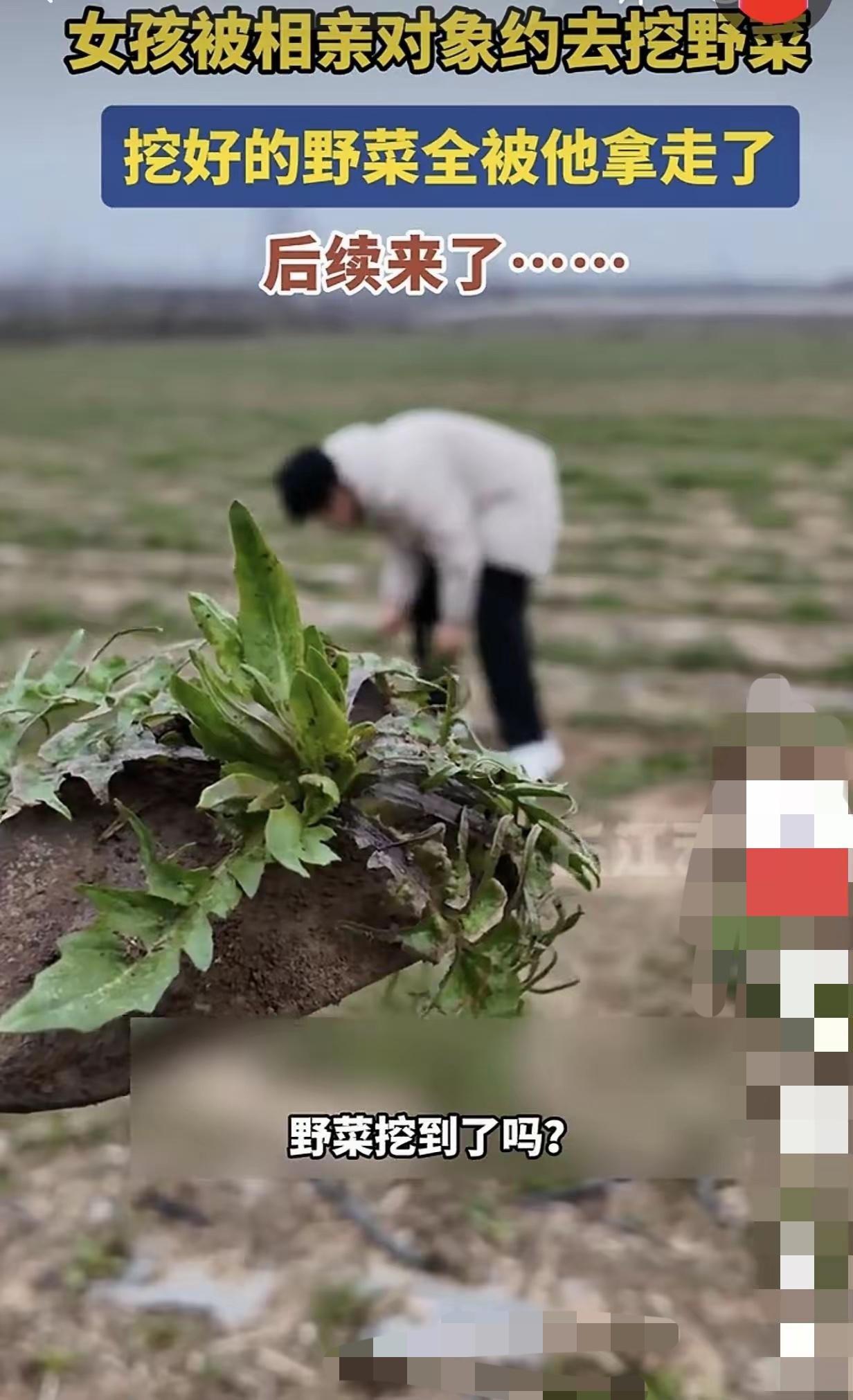 相亲约挖野菜，忙活一下午成果全被男方拿走，最后只收到一张美食照片，这波操作真的太
