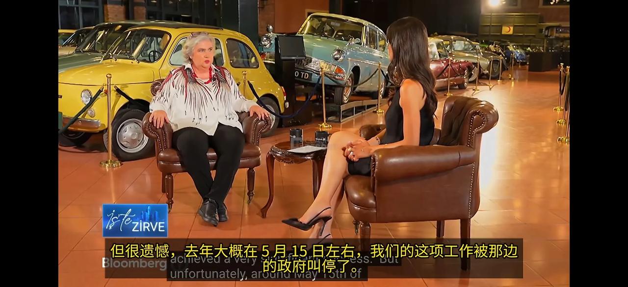 土耳其女商人卡南·切莱比奥卢尝到了印度挥向她的铁拳。她的公司进入印度市场后，成