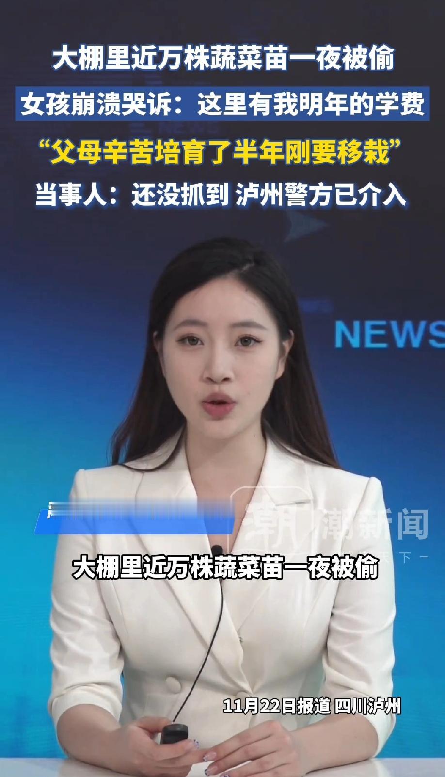 谁能想到！四川泸州，一家人为了给女儿凑学费，花费半年时间在大鹏里辛辛苦苦培育了近