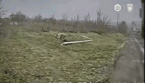 眼不见心不烦！就像我小时候怕打针，看到白大褂就心虚，眼睛不敢看医生，不敢看针