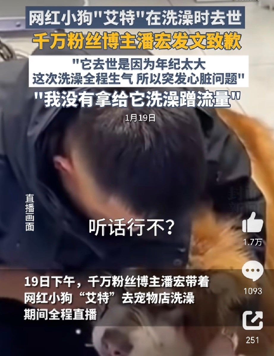 潘宏账号重新更新了。赔偿款对方说收到了，判决书要求的置顶道歉还没见。千万粉训犬博主把钱凑齐了，那行字