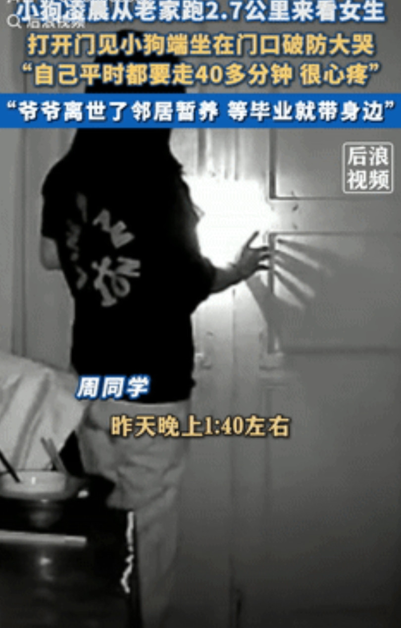“泪崩了！”四川自贡，一女孩凌晨睡觉时，突然被一阵狗叫吵醒，女孩强忍着害怕开门，
