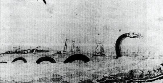 1851年，美国一艘捕鲸船在太平洋斩杀了一条巨大的蛇形巨兽，光它的头都熬了10桶