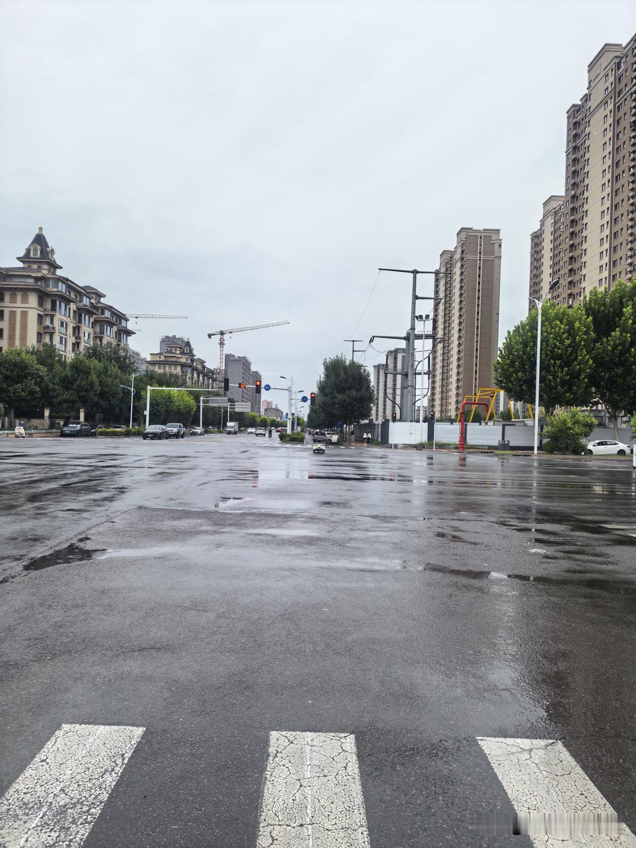 2026年8月12日早，“牛马”上班的石家庄某十字路口，由于“白海豚”的影响还下