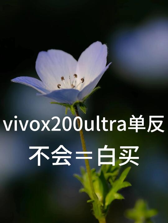 堪比单反的vivox200ultra专业模式拍照详解