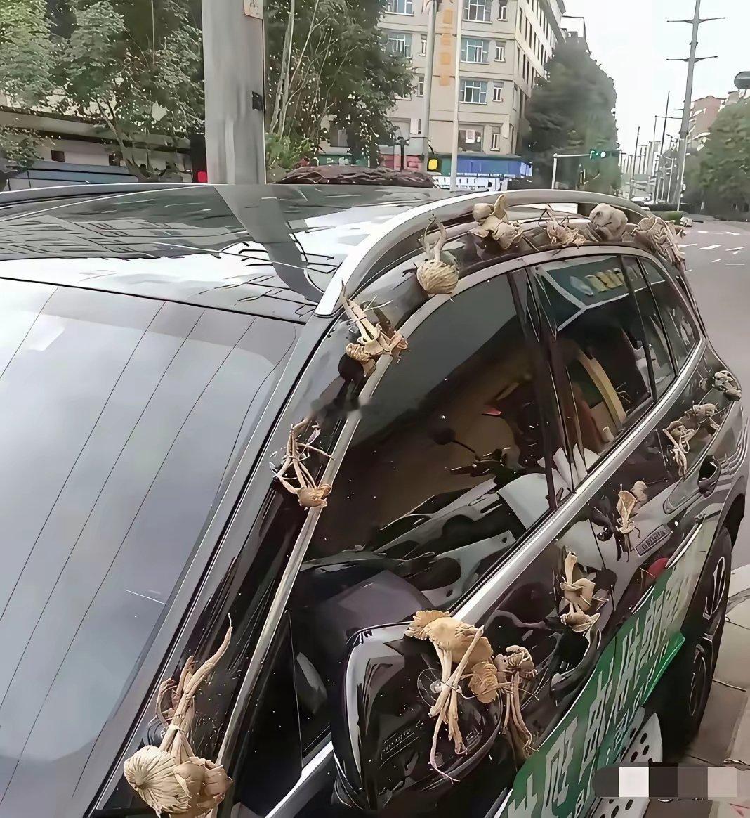 不懂就问，为什么在车上挂这些？