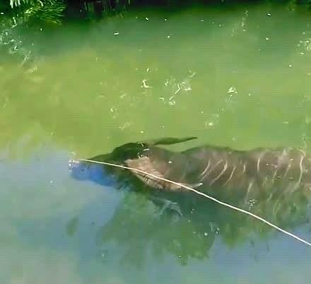 下午2:08，午后上证指数再次翻绿。个人认为短线市场的走势确实又产生了一些偏弱