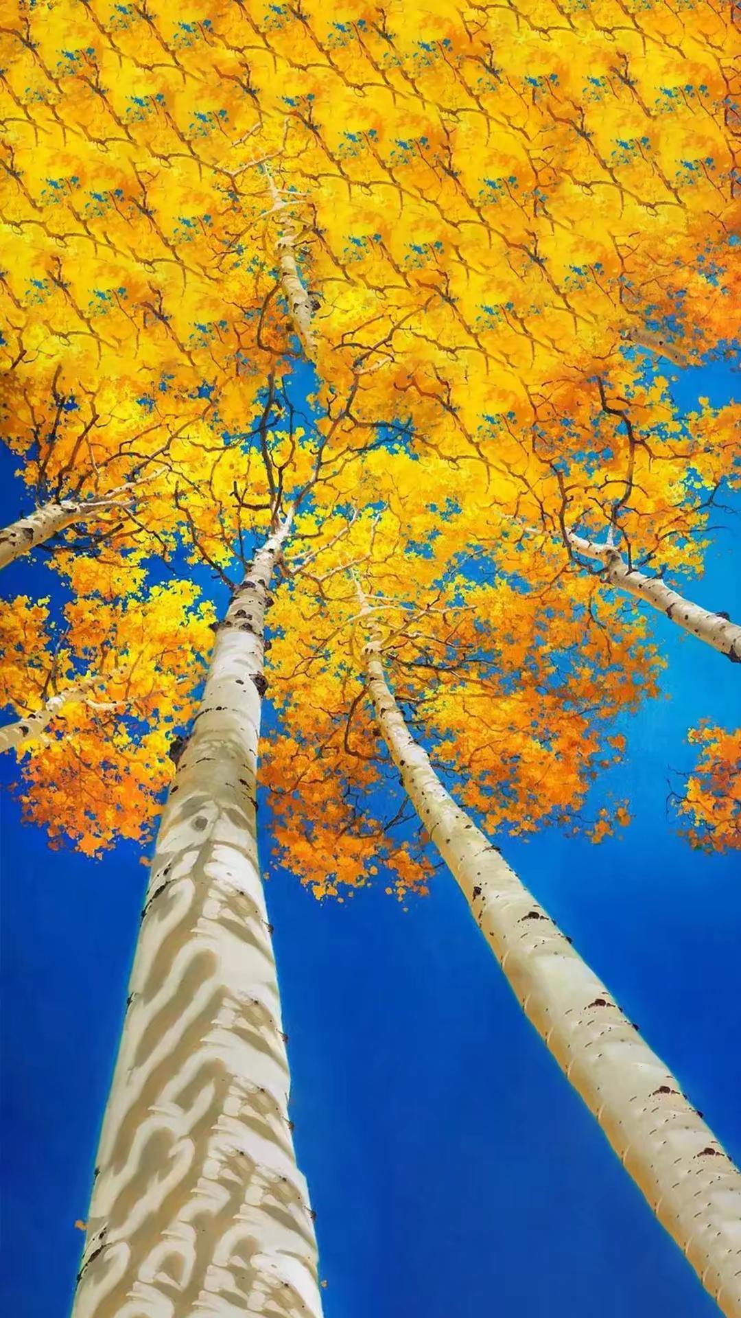 色彩和画风，简直令人叹为观止。秋季油画白桦树林风景风景油画油画风景