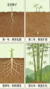高山杜鹃生长近20年才开花树高几十米种子却比芝麻还小竹子或许是植物界最沉得住
