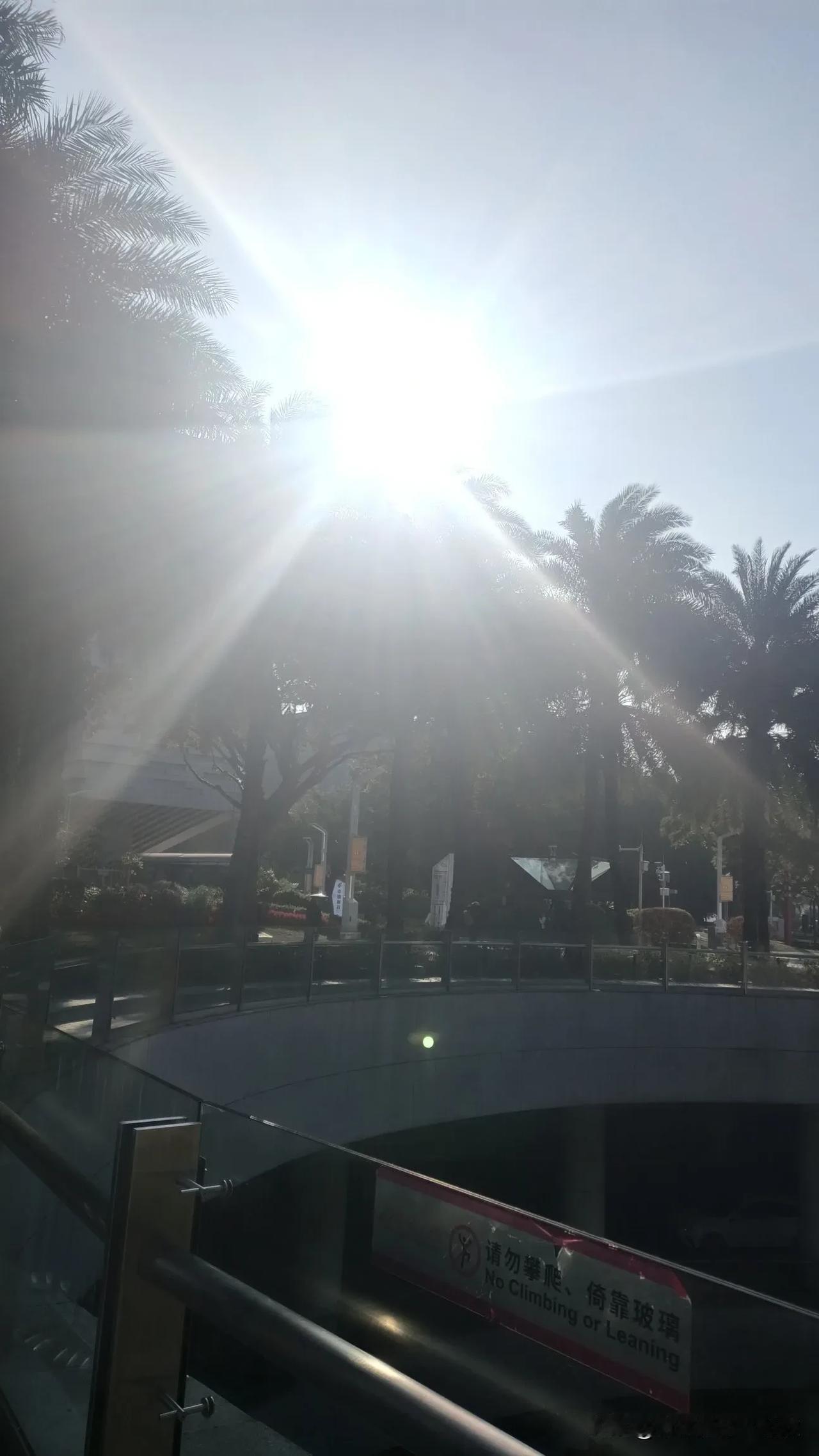 2026年1月6号广州的冬天有太阳，这天气有点意思。当天预报是晴，北风3-4