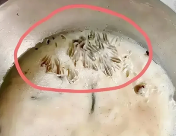 江苏，一名女子熬了一锅猪油，然后倒在了一个盆里，然后放在了橱柜里，等着猪油自己冷