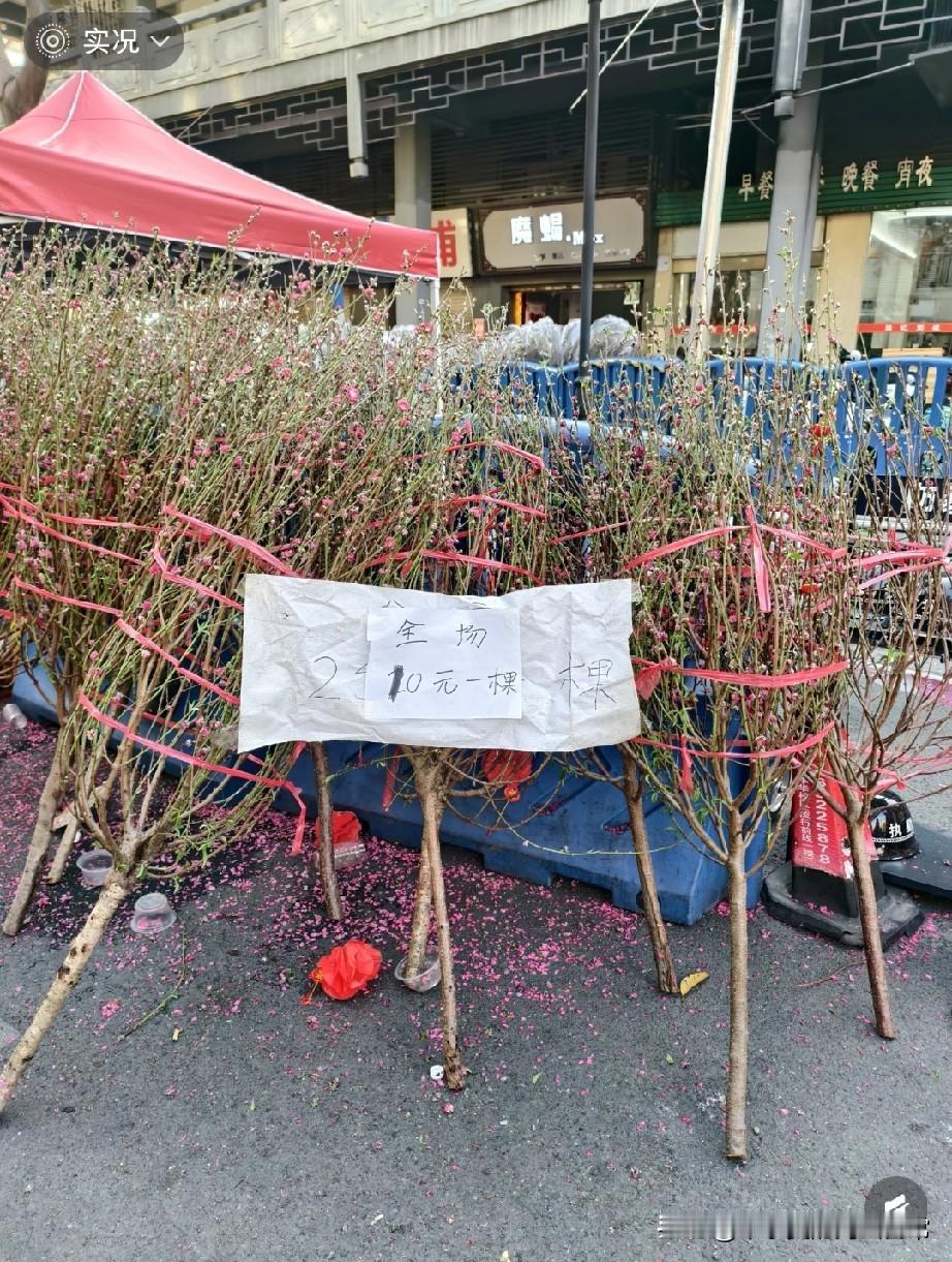佛山花市10元抱走大桃花佛山街坊们，谁懂啊！祖庙迎春花市最后一天，直接开启