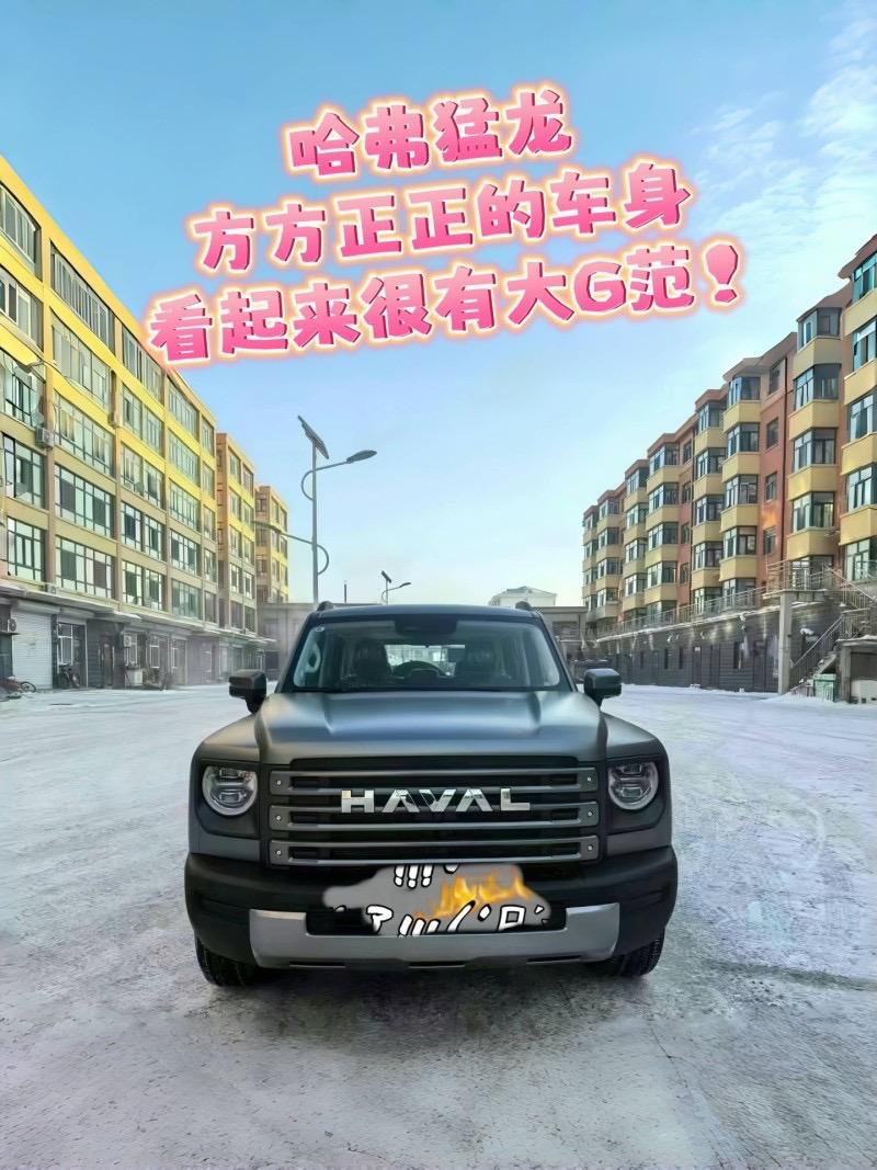 】哈弗猛龙PHEV2024款1.5THi4145kmPro裸车价：