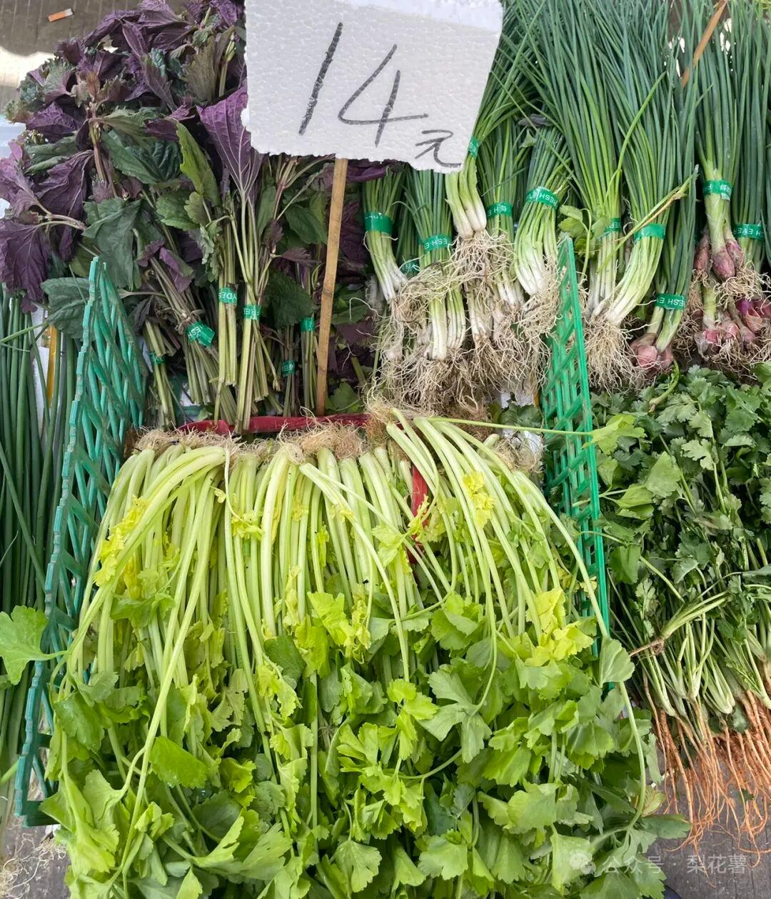 这段时间，广东所有蔬菜涨价了，很多比猪肉价格高，很多买菜市民调戏说：工资不涨，菜