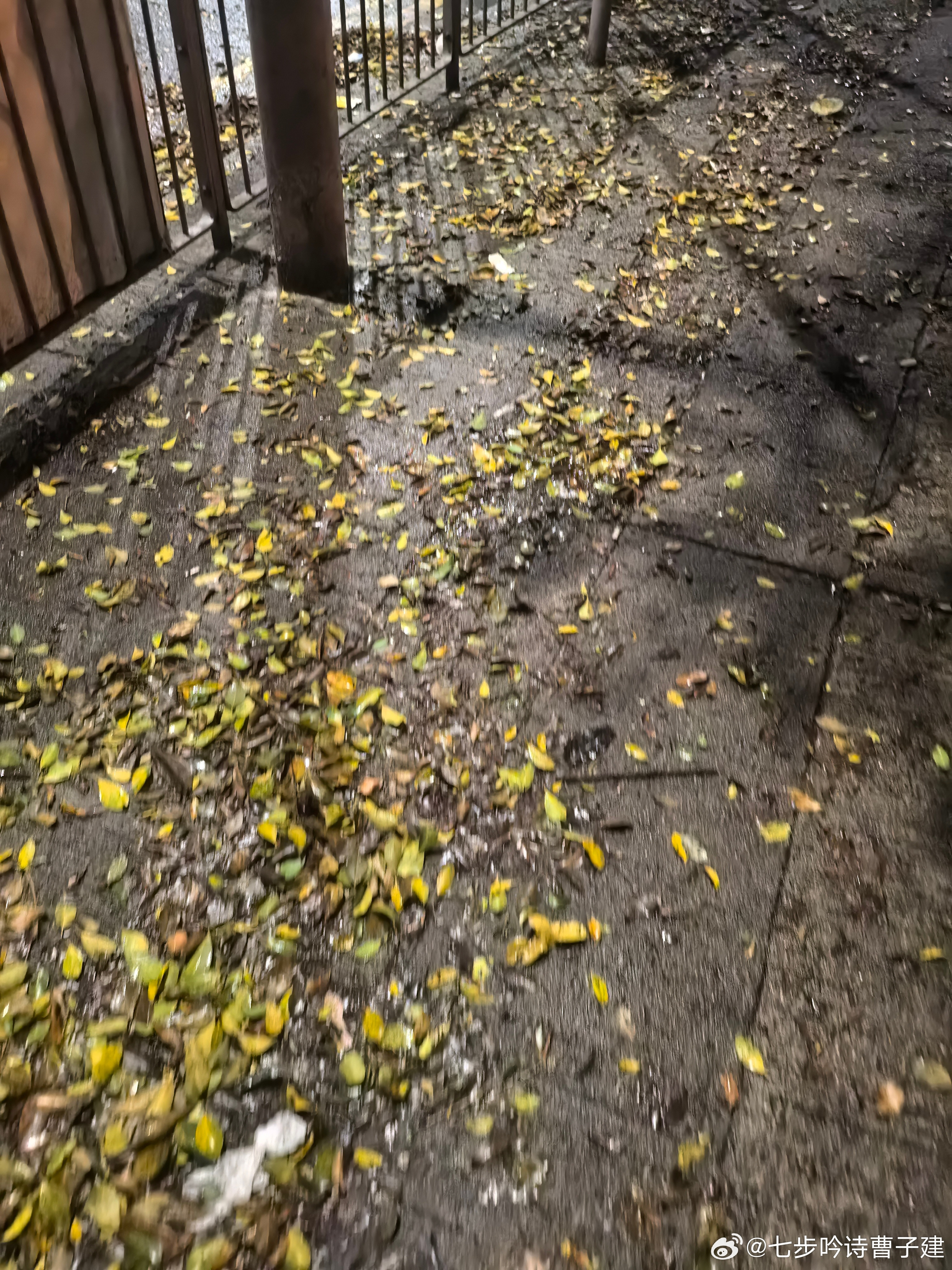 朋友从香港发来的，我的妈呀​​​