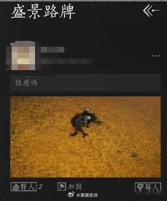 燕云十六声服装被指问题多这游戏闹成这样谁都怪不了，自己选的要去讨好不可能讨好的